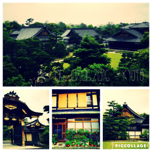 Traditional wooden houses