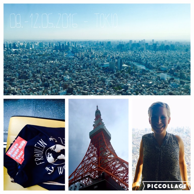 Panorama of Tokyo Sky Tree and Tokyo Tower (in the middle)