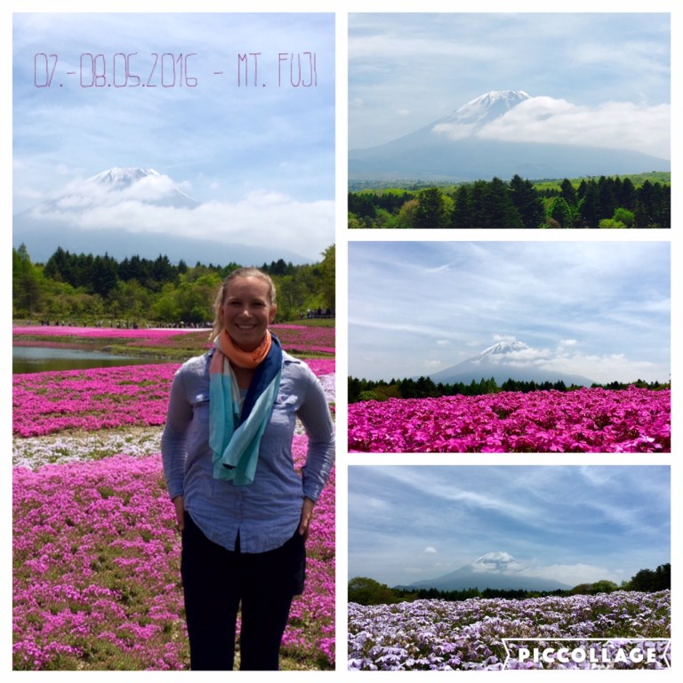 Goosebumps seeing Mt. Fuji