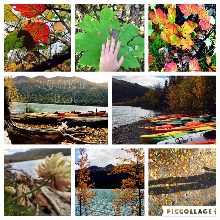 Beautiful autumn colors