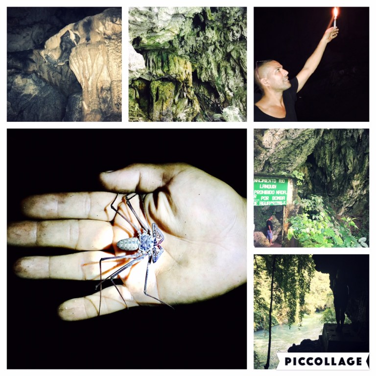 Private cave tour with guide and giant scorpion spider