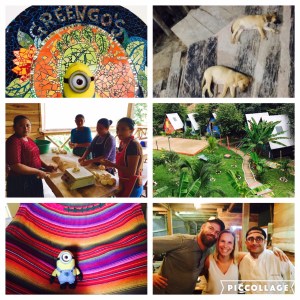 GreenGo's - wunderschönes Hostel mit tollem Essen, super Atmosphäre und netten Mitarbeitern