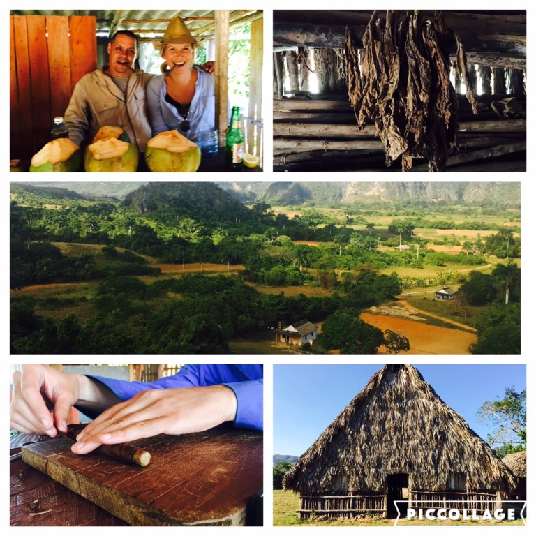 Tobacco and Coffee farms in Varadero